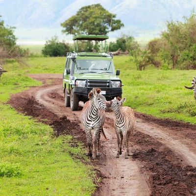 Safari tour holiday 