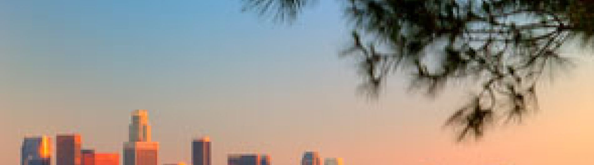 Los Angeles Skyline United States of America 