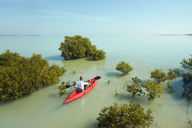 Kayaking at the Mangroves of Qatar