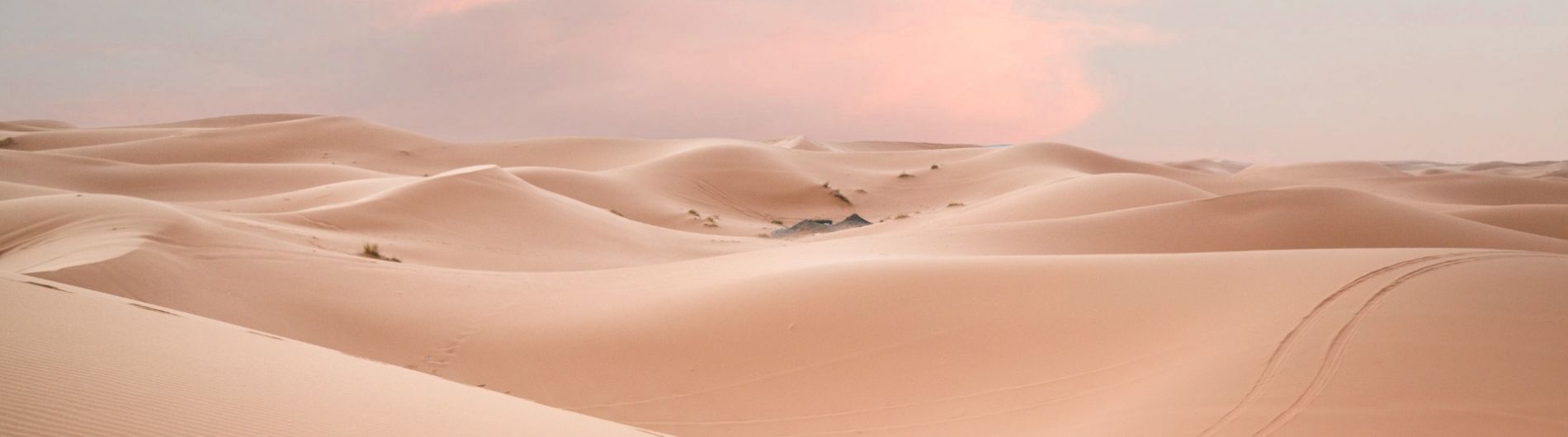 Holiday packages & Hotels in the Middle East