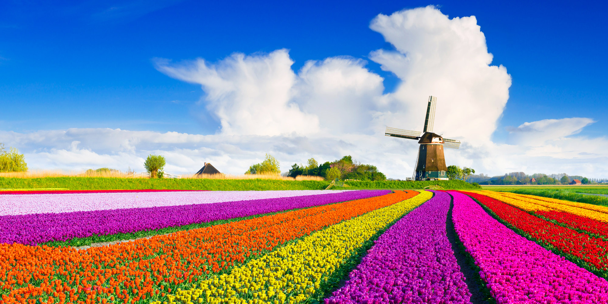 Holiday packages & Hotels in  Netherlands