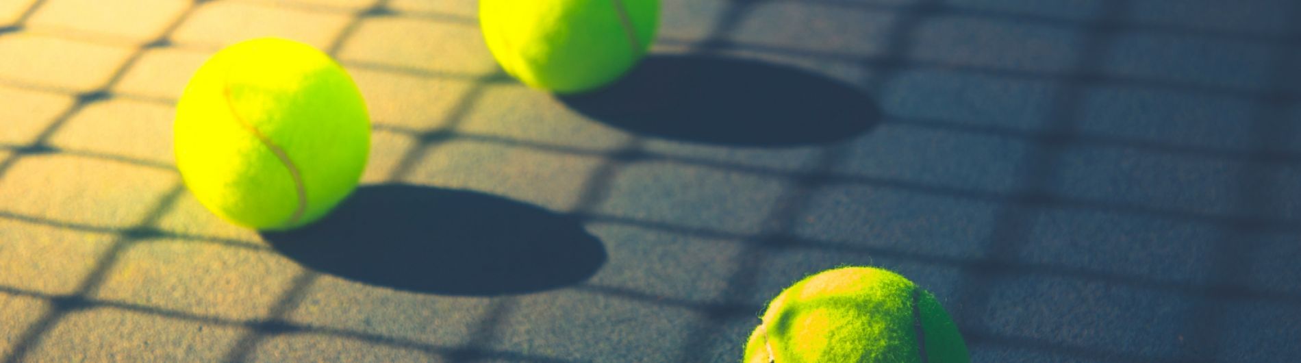 Qatar Exxonmobil Open 2025 Men’s Tennis Tournament Qatar Airways