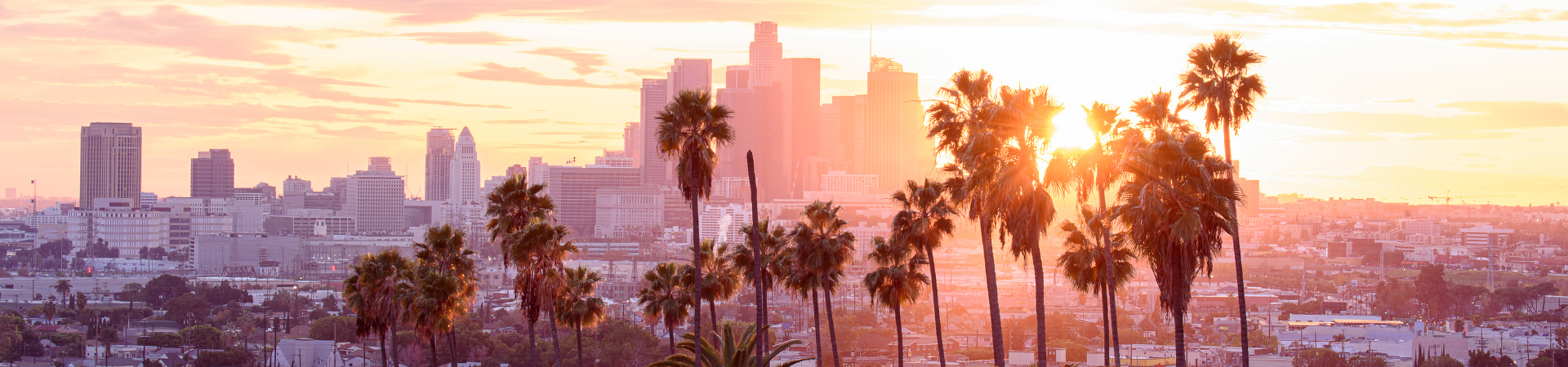 Los Angeles Skyline United States of America 