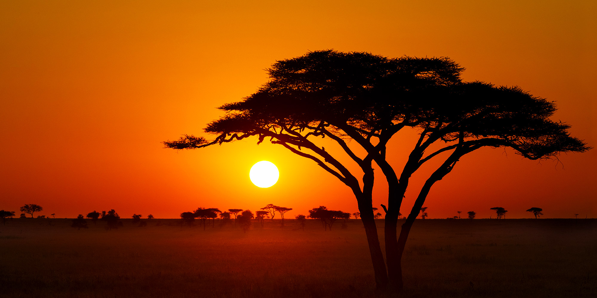 Holiday packages & Hotels in Tanzania