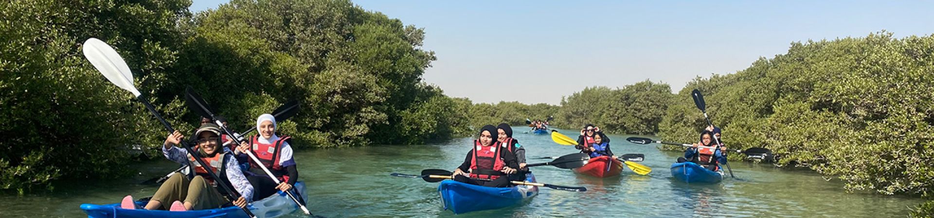 Discover Mangroves of Qatar