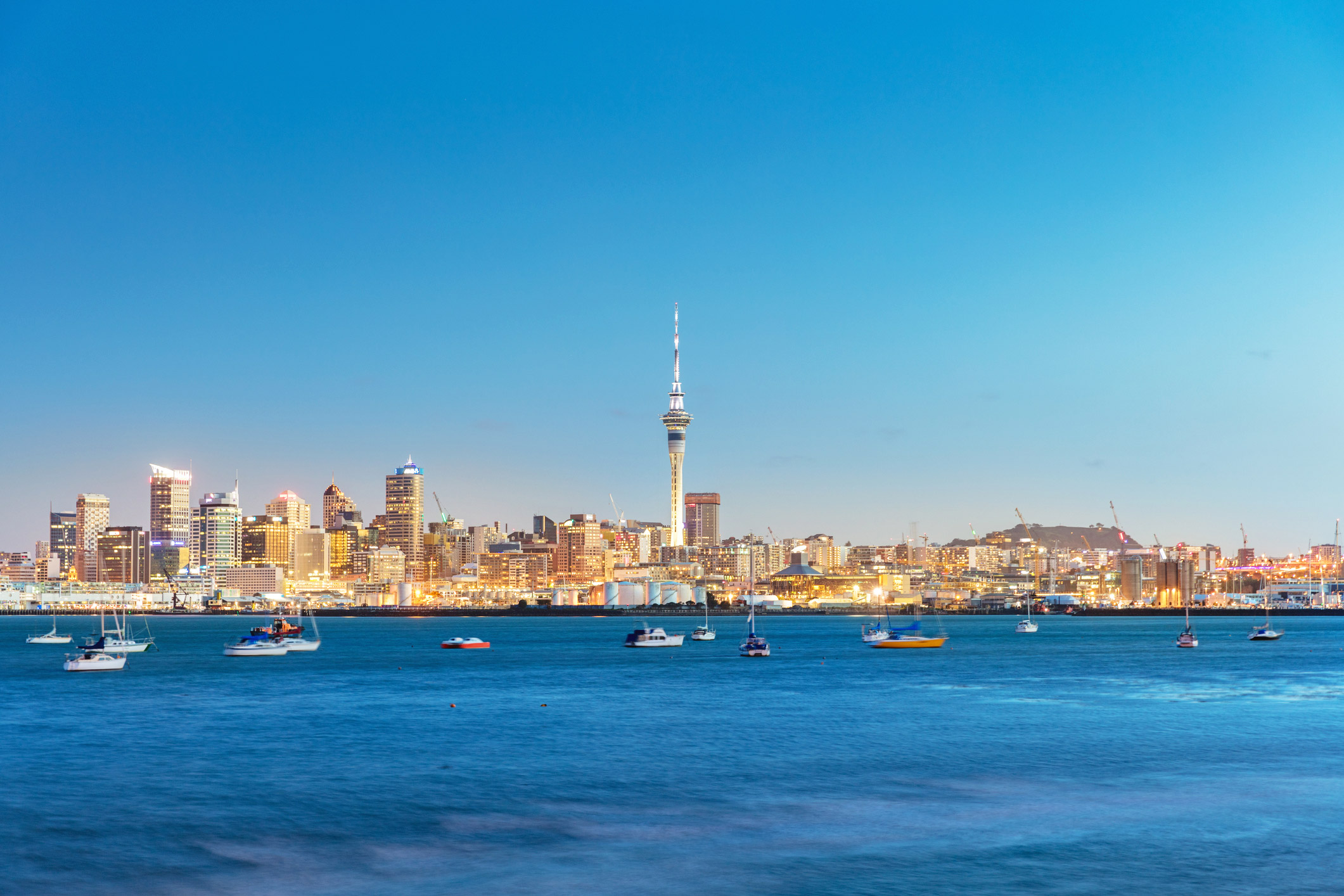 Auckland Skyline