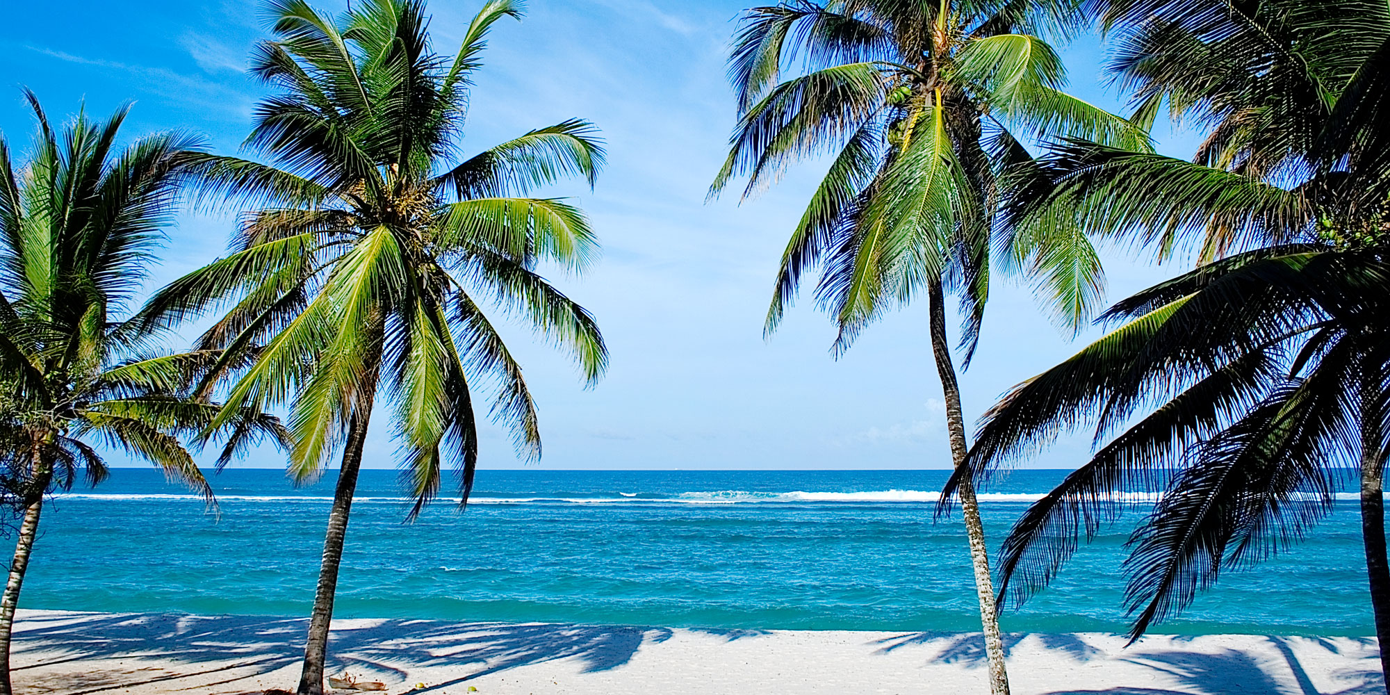 Holiday packages & Hotels in Mombasa