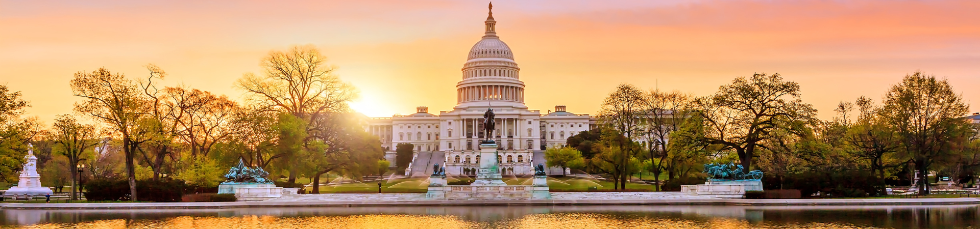 Spring Washington DC United States of America 